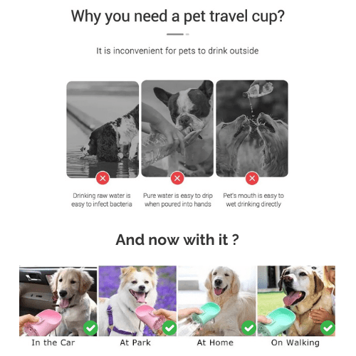Pet Travel Flask