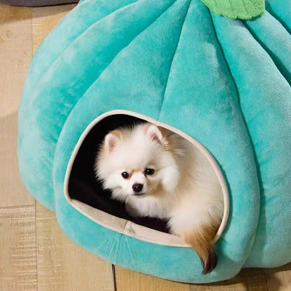 PumpkinCave - Enchanting Pet Bed