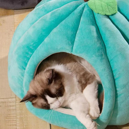 PumpkinCave - Enchanting Pet Bed