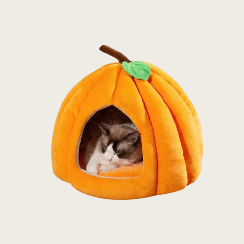 PumpkinCave - Enchanting Pet Bed