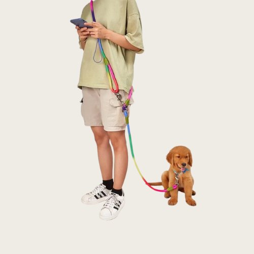 Freely - Hands Free Leash